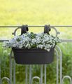 Jardinieră Elho green basics easy hanger large, L 35 × Î 26 × A 27 cm, negru (living black) — imaginea 4