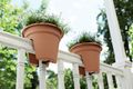 Jardinieră Elho balustrada green basics flower bridge, 55 cm, mild terra — imaginea 4