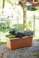 Jardinieră Elho green basics garden xxl, 60 cm, terracotta (mild terra) — imaginea 4