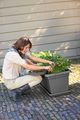 Jardinieră Elho terasa green basics garden xxl, 80 cm, living black — imaginea 4