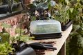 Răsadniță Elho green basics grow set M, L 35 × Î 20 × A 30 cm, negru (living black) — imaginea 4