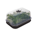 Răsadniță Elho green basics grow set M, L 35 × Î 20 × A 30 cm, negru (living black) — imaginea 2