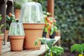 green basics grow house round 17cm transparent — imaginea 4