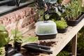Ghiveci Elho propagare green basics grow tray marimea, L 24 × Î 6 × A 17 cm, living black — imaginea 4