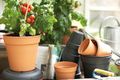 Ghiveci Elho green basics growpot, 11 cm, terracotta (mild terra) — imaginea 4