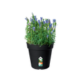 Ghiveci Elho green basics growpot, 17 cm, negru (living black) — imaginea 2
