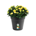 Ghiveci Elho green basics growpot, 40 cm, negru (living black) — imaginea 2