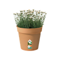 Ghiveci Elho green basics growpot, 30 cm, terracotta (mild terra) — imaginea 2