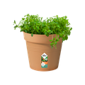 Ghiveci Elho green basics growpot, 24 cm, terracotta (mild terra) — imaginea 2
