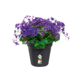 Ghiveci Elho green basics growpot, 27 cm, negru (living black) — imaginea 2