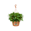 Coș Elho green basics hanging basket, 28 cm, terracotta (mild terra) — imaginea 2