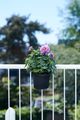 Ghiveci Elho green basics balcony potholder all-in-1, 26 cm, negru (living black) — imaginea 4