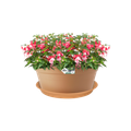 Farfurie Elho green basics saucer, 45 cm, terracotta (mild terra) — imaginea 2