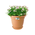 Farfurie Elho green basics saucer, 34 cm, terracotta (mild terra) — imaginea 2