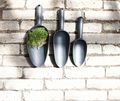 green basics scoop s living black — imaginea 4