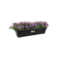 Ghiveci Elho green basics trough allin1, 70 cm, negru (living black) — imaginea 2