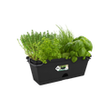 Ghiveci Elho green basics trough mini allin1, 30 cm, negru (living black) — imaginea 2