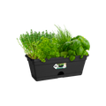 Ghiveci Elho green basics trough mini, 30 cm, negru (living black) — imaginea 2