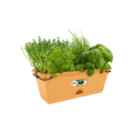 Ghiveci Elho green basics trough mini allin1, 30 cm, terracotta (mild terra) — imaginea 2