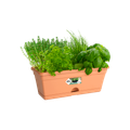 Ghiveci Elho green basics trough mini, 30 cm, terracotta (mild terra) — imaginea 2