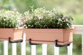 Farfurie Elho green basics trough saucer, 40 cm, terracotta (mild terra) — imaginea 4