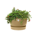 Ghiveci Elho greenville bowl, 33 cm, bej (golden sand) — imaginea 2