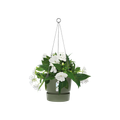 Ghiveci Elho agatator greenville, 24 cm, leaf green — imaginea 2