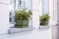 Jardinieră Elho greenville trough long, 50 cm, verde (leaf green) — imaginea 4