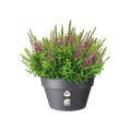 Ghiveci Elho bol loft urban rotund, 35 cm, anthracite — imaginea 2