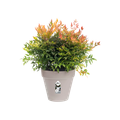 Ghiveci Elho loft urban rotund, 30 cm, warm grey — imaginea 2