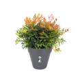 Ghiveci Elho loft urban round, 30 cm, antracit (anthracite) — imaginea 2