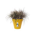 Ghiveci Elho loft urban rotund, 20 cm, ochre — imaginea 2