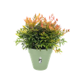 Ghiveci Elho loft urban rotund, 30 cm, pistachio green — imaginea 2