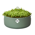 Ghiveci Elho magic microgreens, 17 cm, verde (leaf green) — imaginea 2
