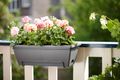 Jardinieră Elho sistem prindere barcelona allin1, 50 cm, antracit — imaginea 4