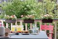 Jardinieră Elho barcelona, 50 cm, alb — imaginea 4