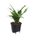 Stropitoare Elho self-watering insert, 22 l, negru (living black) — imaginea 2