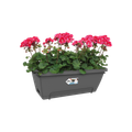 Jardinieră Elho sistem prindere barcelona xl allin1, 55 cm, anthracite — imaginea 2