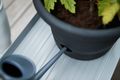 Ghiveci Elho green basics tomato pot, 33 cm, negru — imaginea 4