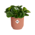 Mască de ghiveci Elho vibes fold round mini, 11 cm, roz (delicate pink) — imaginea 2