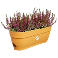Jardinieră Elho vibia campana trough honey, 50 cm, galben (yellow) — imaginea 2