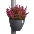 Ghiveci Elho vibia campana drainpipe clicker, 22 cm, antracit (anthracite) — imaginea 2