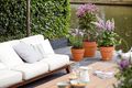 Ghiveci Elho vibia campana round, 20 cm, terracotta (terra) — imaginea 4