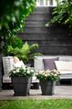 Ghiveci Elho vibia campana square, 37 cm, antracit (anthracite) — imaginea 4