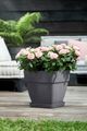 Farfurie Elho loft urban saucer square, 28 cm, antracit (anthracite) — imaginea 4