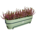 Jardinieră Elho vibia campana trough allin1, 70 cm, verde (pistachio green) — imaginea 2
