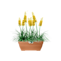 Jardinieră Elho terasa vibia campana, 80 cm, terra — imaginea 2