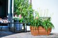 Jardinieră Elho terasa vibia campana, 80 cm, terra — imaginea 4