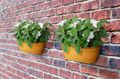 Coș Elho vibia campana wall basket honey, 35 cm, galben (yellow) — imaginea 4