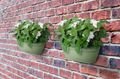 Coș Elho vibia campana wall basket, 35 cm, verde (pistachio green) — imaginea 4